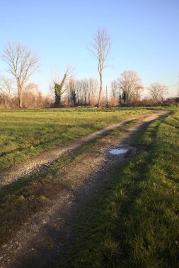 Gün batımında İtalya kırsalında, bir tarlanın yanında çıplak ağaçlarla çevrili toprak bir patikada eğilin.