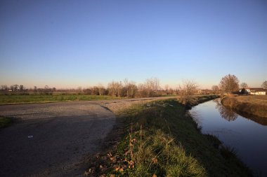 Su akıntısı bir tarlanın yanındaki yolun kenarında, sudaki bir ağaçla, gün batımında İtalya 'nın kırsalında