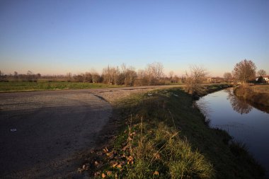 Su akıntısı bir tarlanın yanındaki yolun kenarında, sudaki bir ağaçla, gün batımında İtalya 'nın kırsalında
