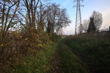 İtalya kırsalındaki bir parkta gün batımında, bir ucunda elektrik direği, diğer ucunda ağaçlar...