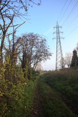 İtalya kırsalındaki bir parkta gün batımında, bir ucunda elektrik direği, diğer ucunda ağaçlar...
