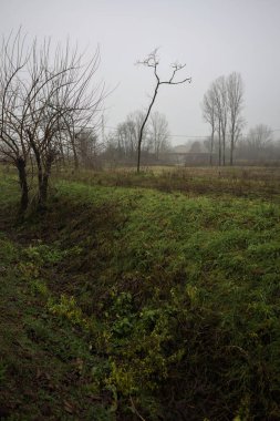 Uzakta bir yol köprüsü, bir tarlanın üzerinde, çıplak ağaçlarla çevrili, İtalya 'nın kışın sisli bir gününde