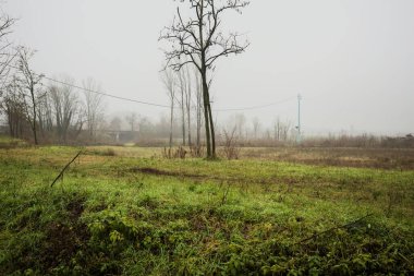 Uzakta bir yol köprüsü, bir tarlanın üzerinde, çıplak ağaçlarla çevrili, İtalya 'nın kışın sisli bir gününde
