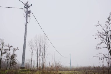 İtalya kırsalında sisli bir günde, üzerinde uzun otlar ve çıplak ağaçlar olan bir arazide geçen elektrik direkleri üzerinde.
