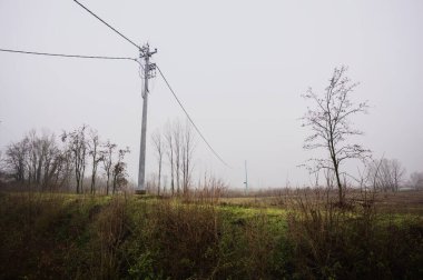 İtalya kırsalında sisli bir günde, üzerinde uzun otlar ve çıplak ağaçlar olan bir arazide geçen elektrik direkleri üzerinde.