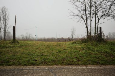 Bir çim tarlasının girişinde parmaklıklar, yolun kenarında, İtalya 'nın kışın sisli bir gününde.