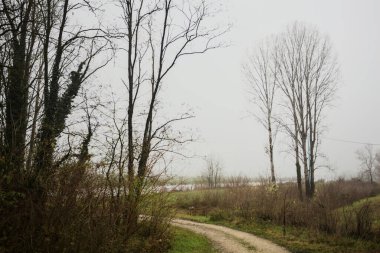 İtalya 'da kışın sisli bir günde, çıplak ağaçlarla çevrili, nehre açılan çamurlu patika.