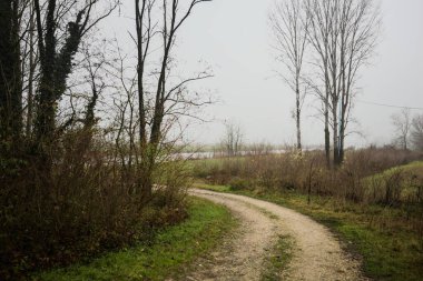 İtalya 'da kışın sisli bir günde, çıplak ağaçlarla çevrili, nehre açılan çamurlu patika.