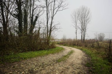 İtalya 'da kışın sisli bir günde, çıplak ağaçlarla çevrili, nehre açılan çamurlu patika.