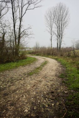 İtalya 'da kışın sisli bir günde, çıplak ağaçlarla çevrili, nehre açılan çamurlu patika.