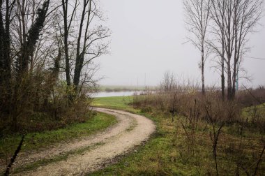 İtalya 'da kışın sisli bir günde, çıplak ağaçlarla çevrili, nehre açılan çamurlu patika.