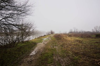 İtalya kırsalında sisli bir günde, ağaçlarla çevrelenmiş, ekilmemiş bir tarlanın yanında, nehrin kıyısında çamur izleri.