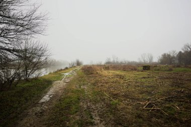 İtalya kırsalında sisli bir günde, ağaçlarla çevrelenmiş, ekilmemiş bir tarlanın yanında, nehrin kıyısında çamur izleri.