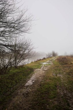 İtalya kırsalında sisli bir günde, ağaçlarla çevrelenmiş, ekilmemiş bir tarlanın yanında, nehrin kıyısında çamur izleri.