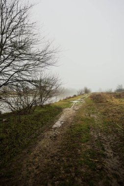 İtalya kırsalında sisli bir günde, ağaçlarla çevrelenmiş, ekilmemiş bir tarlanın yanında, nehrin kıyısında çamur izleri.