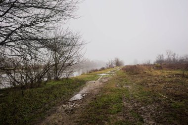 İtalya kırsalında sisli bir günde, ağaçlarla çevrelenmiş, ekilmemiş bir tarlanın yanında, nehrin kıyısında çamur izleri.