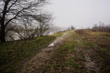 İtalya kırsalında sisli bir günde, ağaçlarla çevrelenmiş, ekilmemiş bir tarlanın yanında, nehrin kıyısında çamur izleri.