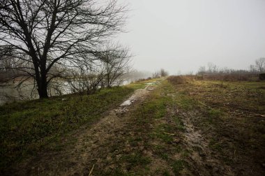 İtalya kırsalında sisli bir günde, ağaçlarla çevrelenmiş, ekilmemiş bir tarlanın yanında, nehrin kıyısında çamur izleri.