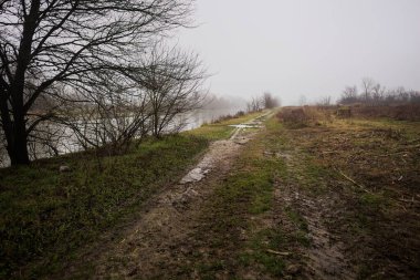 İtalya kırsalında sisli bir günde, ağaçlarla çevrelenmiş, ekilmemiş bir tarlanın yanında, nehrin kıyısında çamur izleri.