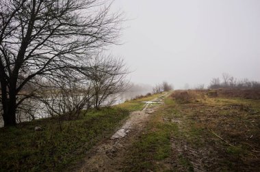 İtalya kırsalında sisli bir günde, ağaçlarla çevrelenmiş, ekilmemiş bir tarlanın yanında, nehrin kıyısında çamur izleri.