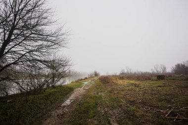 İtalya kırsalında sisli bir günde, ağaçlarla çevrelenmiş, ekilmemiş bir tarlanın yanında, nehrin kıyısında çamur izleri.