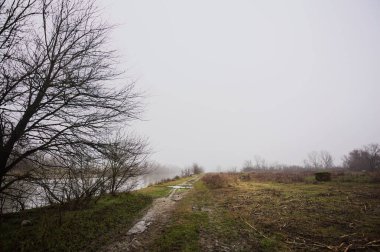 İtalya kırsalında sisli bir günde, ağaçlarla çevrelenmiş, ekilmemiş bir tarlanın yanında, nehrin kıyısında çamur izleri.