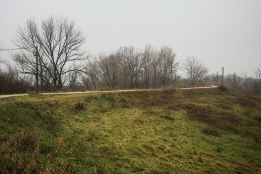 Ağaçlarla çevrili bir toprak setin tepesindeki patikanın kenarlarında, bir parkta, İtalya 'nın kışın kırsalında bulutlu ve sisli bir günde ahşap direklerin üzerinde bir elektrik hattı var.