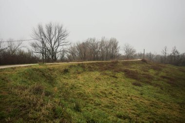 Ağaçlarla çevrili bir toprak setin tepesindeki patikanın kenarlarında, bir parkta, İtalya 'nın kışın kırsalında bulutlu ve sisli bir günde ahşap direklerin üzerinde bir elektrik hattı var.