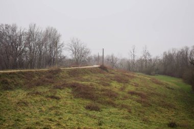 Ağaçlarla çevrili bir toprak setin tepesindeki patikanın kenarlarında, bir parkta, İtalya 'nın kışın kırsalında bulutlu ve sisli bir günde ahşap direklerin üzerinde bir elektrik hattı var.