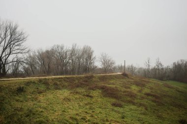 Ağaçlarla çevrili bir toprak setin tepesindeki patikanın kenarlarında, bir parkta, İtalya 'nın kışın kırsalında bulutlu ve sisli bir günde ahşap direklerin üzerinde bir elektrik hattı var.
