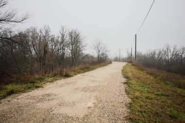 Ağaçlarla çevrili bir toprak setin tepesindeki patikanın kenarlarında, bir parkta, İtalya 'nın kışın kırsalında bulutlu ve sisli bir günde ahşap direklerin üzerinde bir elektrik hattı var.