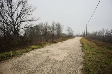 Ağaçlarla çevrili bir toprak setin tepesindeki patikanın kenarlarında, bir parkta, İtalya 'nın kışın kırsalında bulutlu ve sisli bir günde ahşap direklerin üzerinde bir elektrik hattı var.