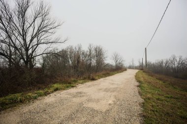 Ağaçlarla çevrili bir toprak setin tepesindeki patikanın kenarlarında, bir parkta, İtalya 'nın kışın kırsalında bulutlu ve sisli bir günde ahşap direklerin üzerinde bir elektrik hattı var.