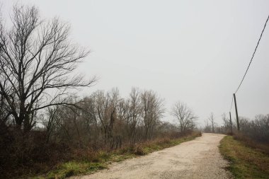 Ağaçlarla çevrili bir toprak setin tepesindeki patikanın kenarlarında, bir parkta, İtalya 'nın kışın kırsalında bulutlu ve sisli bir günde ahşap direklerin üzerinde bir elektrik hattı var.