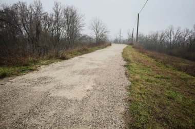 Ağaçlarla çevrili bir toprak setin tepesindeki patikanın kenarlarında, bir parkta, İtalya 'nın kışın kırsalında bulutlu ve sisli bir günde ahşap direklerin üzerinde bir elektrik hattı var.
