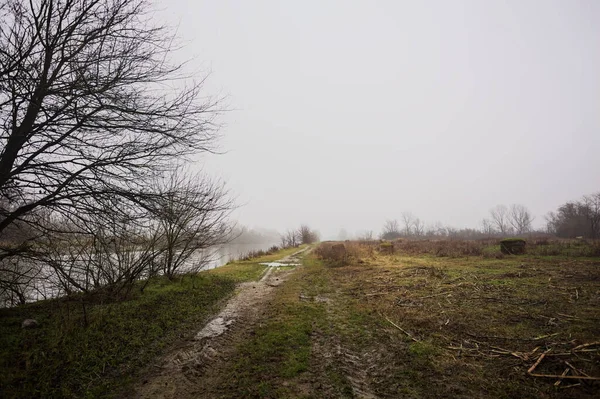 İtalya kırsalında sisli bir günde, ağaçlarla çevrelenmiş, ekilmemiş bir tarlanın yanında, nehrin kıyısında çamur izleri.