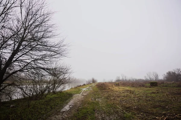 İtalya kırsalında sisli bir günde, ağaçlarla çevrelenmiş, ekilmemiş bir tarlanın yanında, nehrin kıyısında çamur izleri.