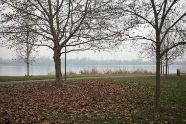 Bulutlu bir günde, İtalya 'da bir gölün kıyısındaki parkta yapraklarla kaplanmış çıplak ağaçlar.