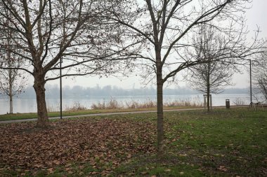 Bulutlu bir günde, İtalya 'da bir gölün kıyısındaki parkta yapraklarla kaplanmış çıplak ağaçlar.