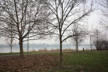 Bulutlu bir günde, İtalya 'da bir gölün kıyısındaki parkta yapraklarla kaplanmış çıplak ağaçlar.