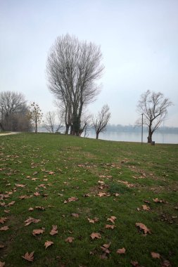 Bulutlu bir günde, İtalya 'da bir gölün kıyısındaki parkta yapraklarla kaplanmış çıplak ağaçlar.