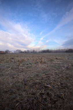 İtalya kırsalında bulutlu bir günde, arka planda bir orman ve bir toprak seti ile kışın kışın kışın kırağı kaplanmış tarlalar.