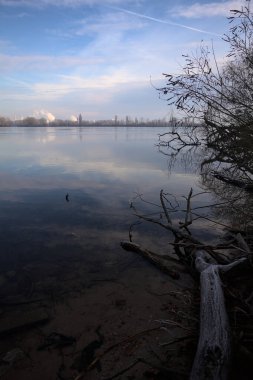 Nehrin karşı kıyısındaki bir ormanın arkasındaki sanayi bölgesinde ağaçlar, binalar ve gökyüzü İtalya kırsalındaki bulutlu bir günde suya yansıyor.