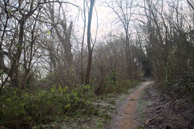 İtalya 'nın kışın kırsalında bulutlu bir günde çimenlerin üzerinde don ve üzerinde ağaçlar olan dar bir tırmanma yolu.