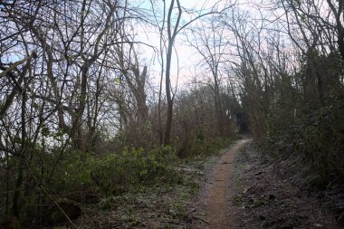 İtalya 'nın kışın kırsalında bulutlu bir günde çimenlerin üzerinde don ve üzerinde ağaçlar olan dar bir tırmanma yolu.