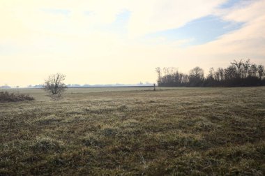 Üzerinde seyrek ağaçlar bulunan, kıpır kıpır tarlalarla kaplı, bir ev silueti ve bir köy kilisesi olan, İtalya 'nın kırsal kesimlerinde bulutlu bir günde