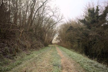 İtalya 'nın kırsal kesimlerinde soğuk ve bulutlu bir günde, bir parkın ortasında kıpkırmızı bir patika.