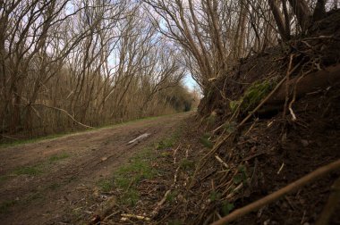 Derin bir hendeğin yanındaki patikada üzerlerinde ağaçlar, aralarında bir boşluk, bulutlu bir gökyüzü, çıplak ağaçlarla dolu bir ormanda, kışın, İtalya 'nın kırsalında