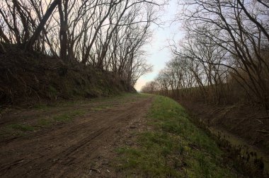 Derin bir hendeğin yanındaki patikada üzerlerinde ağaçlar, aralarında bir boşluk, bulutlu bir gökyüzü, çıplak ağaçlarla dolu bir ormanda, kışın, İtalya 'nın kırsalında
