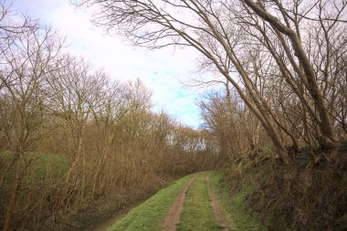 Derin bir hendeğin yanındaki patikada üzerlerinde ağaçlar, aralarında bir boşluk, bulutlu bir gökyüzü, çıplak ağaçlarla dolu bir ormanda, kışın, İtalya 'nın kırsalında